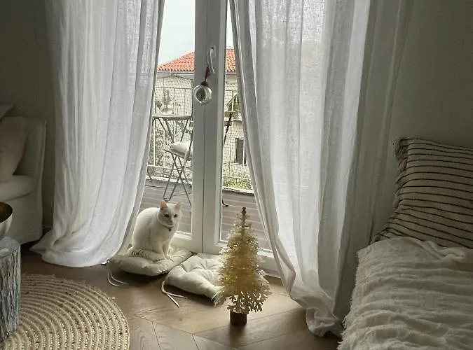 アパート Mypalmassuite With Free Parking In オパティヤ